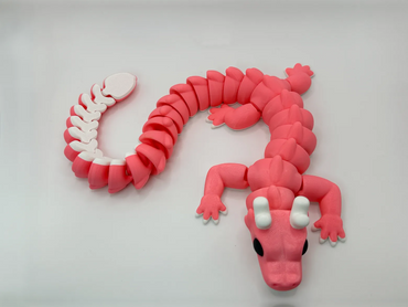 Dragón Reno : Rosa Blanco