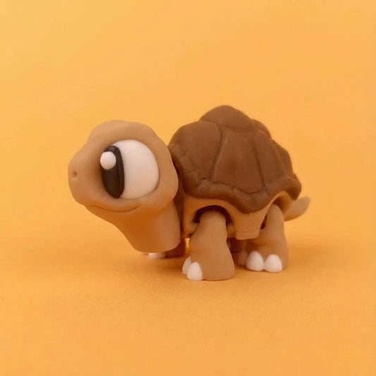 Toto la Tortuguita Sabia