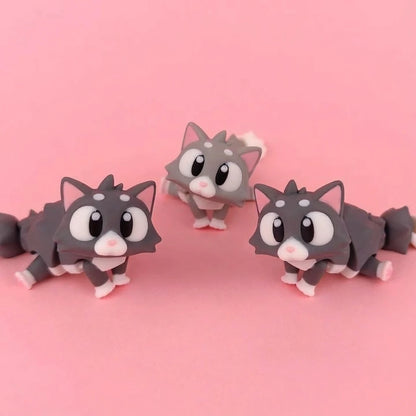 Nuno el Gatito Curioso